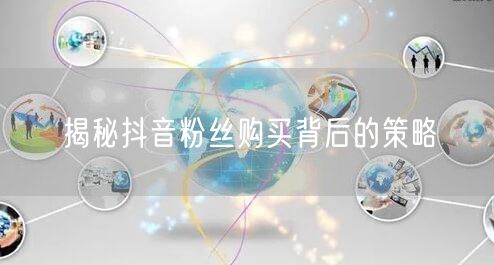 揭秘抖音粉丝购买背后的策略