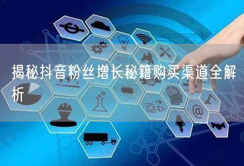 揭秘抖音粉丝增长秘籍购买渠道全解析