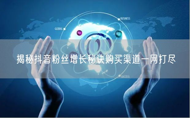 揭秘抖音粉丝增长秘诀购买渠道一网打尽