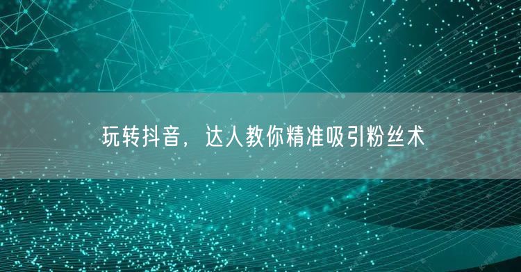 玩转抖音，达人教你精准吸引粉丝术
