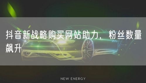 抖音新战略购买网站助力，粉丝数量飙升
