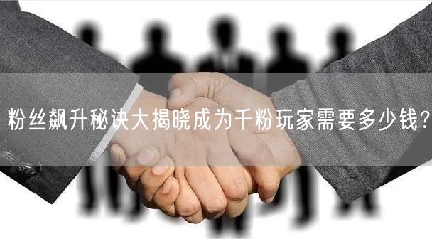 粉丝飙升秘诀大揭晓成为千粉玩家需要多少钱？
