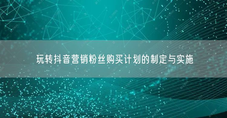玩转抖音营销粉丝购买计划的制定与实施