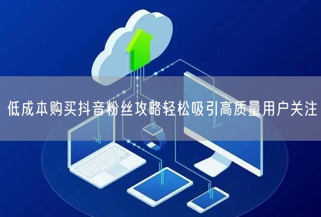 低成本购买抖音粉丝攻略轻松吸引高质量用户关注
