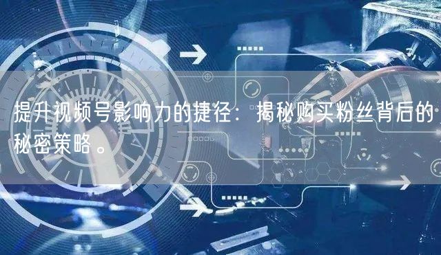 提升视频号影响力的捷径：揭秘购买粉丝背后的秘密策略。