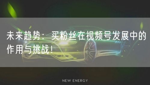 未来趋势：买粉丝在视频号发展中的作用与挑战！