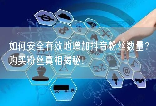 如何安全有效地增加抖音粉丝数量？购买粉丝真相揭秘！