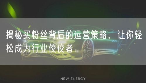 揭秘买粉丝背后的运营策略，让你轻松成为行业佼佼者。