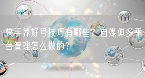 快手养好号技巧有哪些？自媒体多平台管理怎么做的？