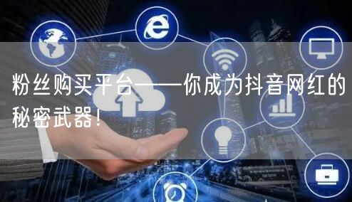 粉丝购买平台——你成为抖音网红的秘密武器！