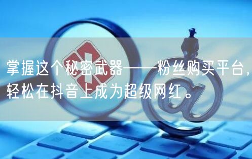 掌握这个秘密武器——粉丝购买平台，轻松在抖音上成为超级网红。