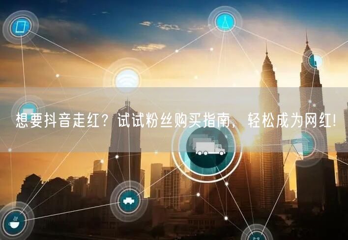 想要抖音走红？试试粉丝购买指南，轻松成为网红!