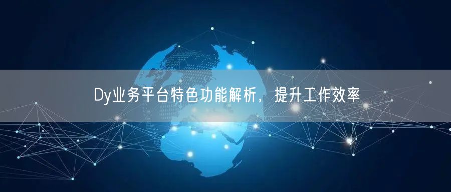 Dy业务平台特色功能解析，提升工作效率