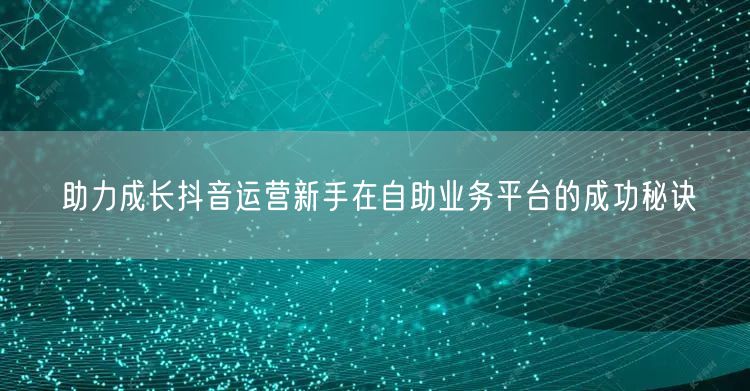 助力成长抖音运营新手在自助业务平台的成功秘诀