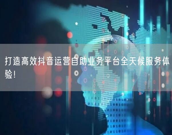 打造高效抖音运营自助业务平台全天候服务体验！