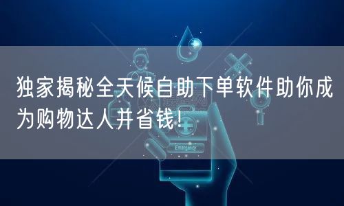 独家揭秘全天候自助下单软件助你成为购物达人并省钱！