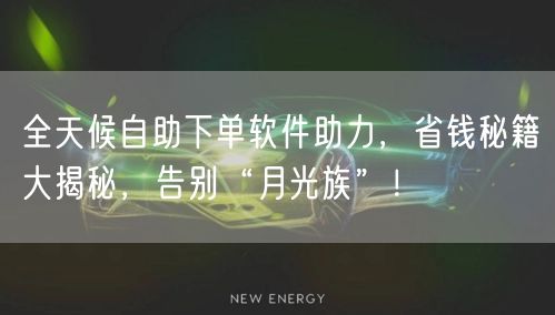 全天候自助下单软件助力，省钱秘籍大揭秘，告别“月光族”！