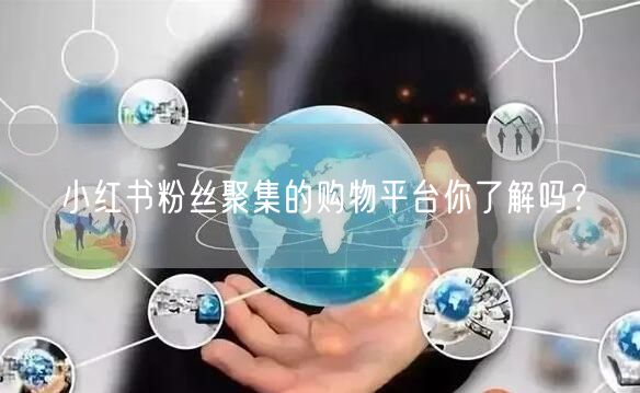 小红书粉丝聚集的购物平台你了解吗？