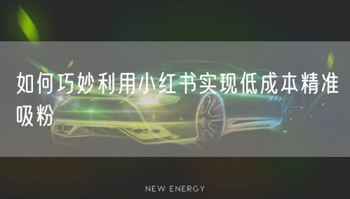 如何巧妙利用小红书实现低成本精准吸粉